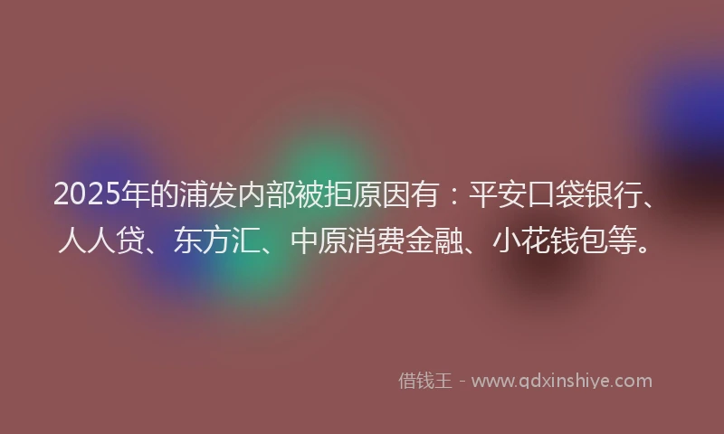 2025年的浦发内部被拒原因有：平安口袋银行、人人贷、东方汇、中原消费金融、小花钱包等。
