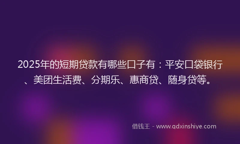 2025年的短期贷款有哪些口子有：平安口袋银行、美团生活费、分期乐、惠商贷、随身贷等。