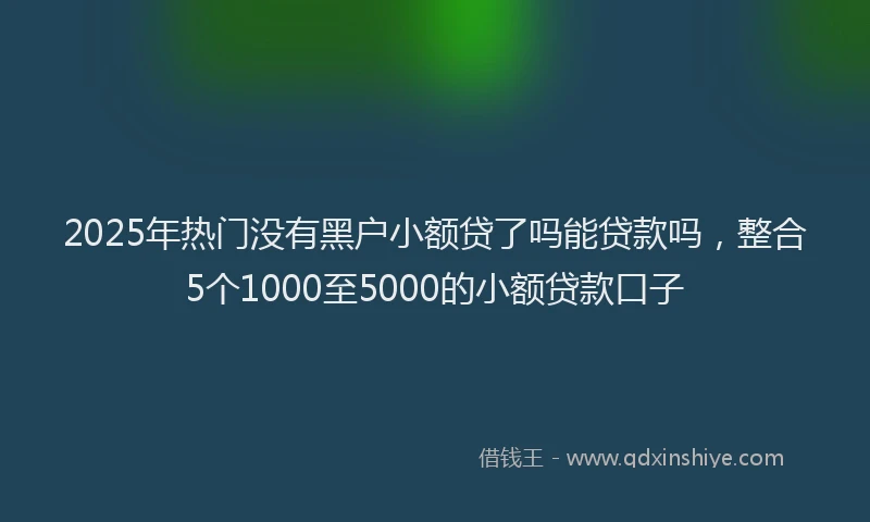 2025年热门没有黑户小额贷了吗能贷款吗，整合5个1000至5000的小额贷款口子