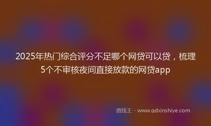 2025年热门综合评分不足哪个网贷可以贷，梳理5个不审核夜间直接放款的网贷app