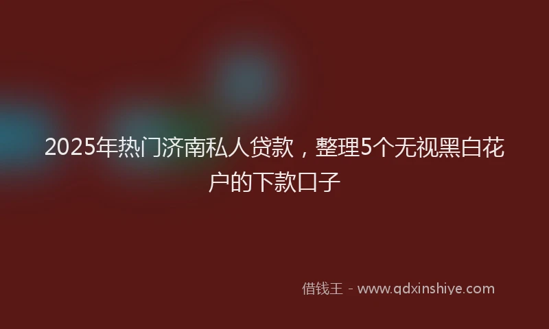 2025年热门济南私人贷款，整理5个无视黑白花户的下款口子