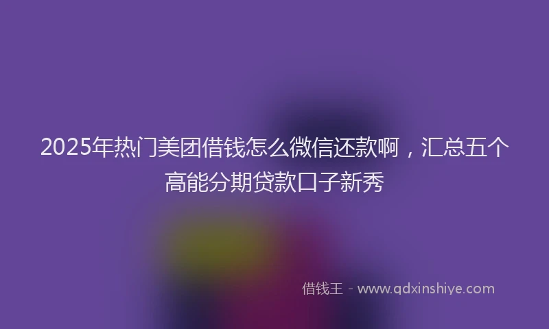 2025年热门美团借钱怎么微信还款啊，汇总五个高能分期贷款口子新秀