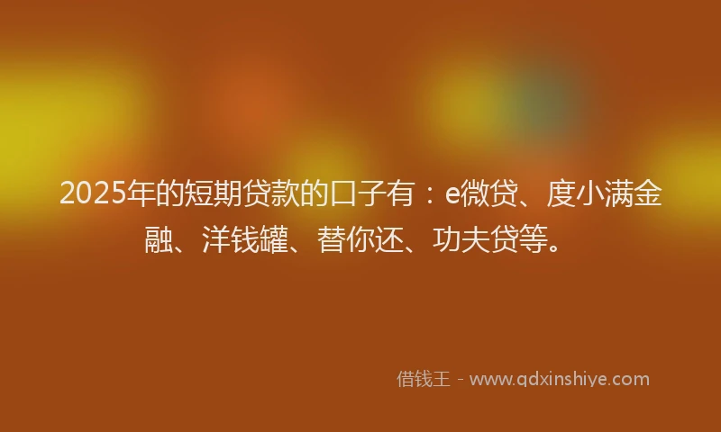 2025年的短期贷款的口子有：e微贷、度小满金融、洋钱罐、替你还、功夫贷等。