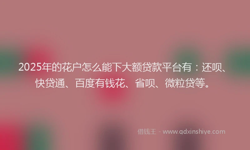 2025年的花户怎么能下大额贷款平台有：还呗、快贷通、百度有钱花、省呗、微粒贷等。