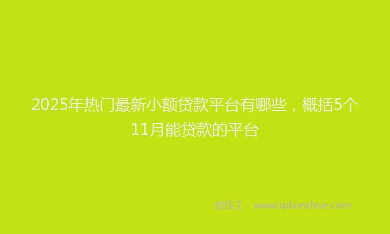 2025年热门最新小额贷款平台有哪些，概括5个11月能贷款的平台