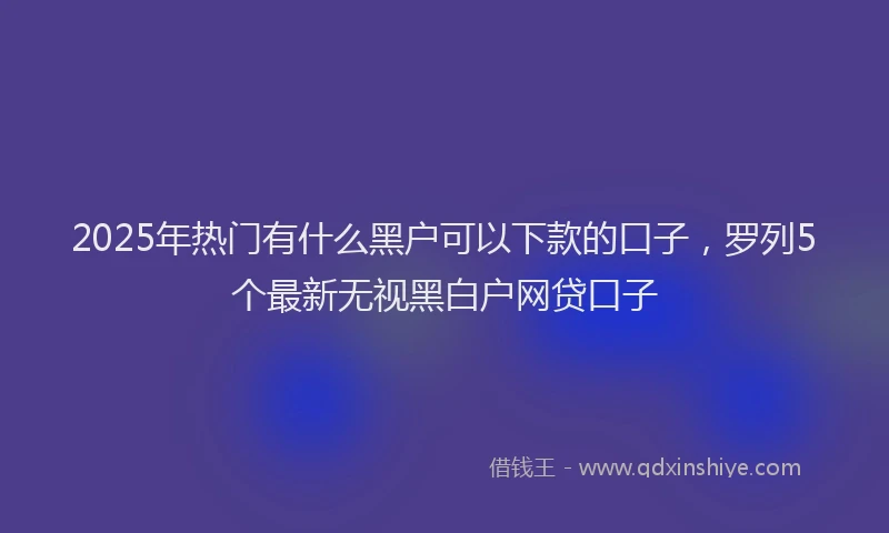 2025年热门有什么黑户可以下款的口子，罗列5个最新无视黑白户网贷口子
