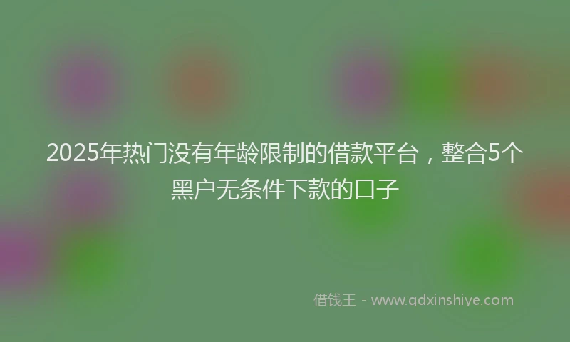 2025年热门没有年龄限制的借款平台，整合5个黑户无条件下款的口子