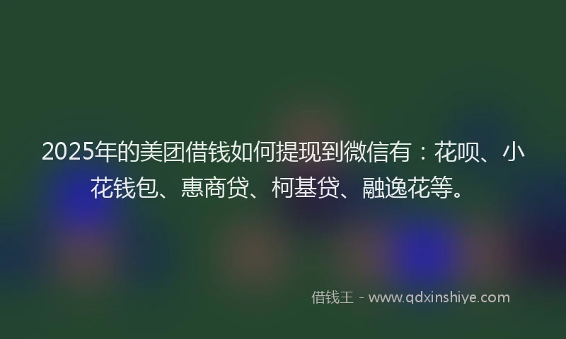 2025年的美团借钱如何提现到微信有：花呗、小花钱包、惠商贷、柯基贷、融逸花等。