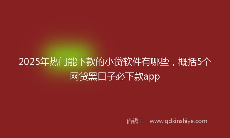 2025年热门能下款的小贷软件有哪些，概括5个网贷黑口子必下款app