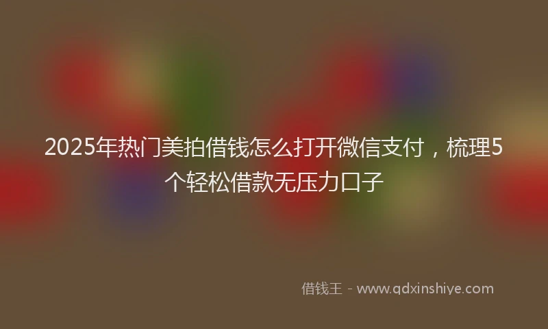 2025年热门美拍借钱怎么打开微信支付，梳理5个轻松借款无压力口子