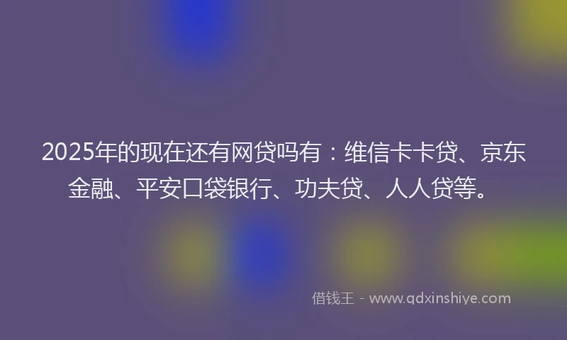2025年的现在还有网贷吗有：维信卡卡贷、京东金融、平安口袋银行、功夫贷、人人贷等。