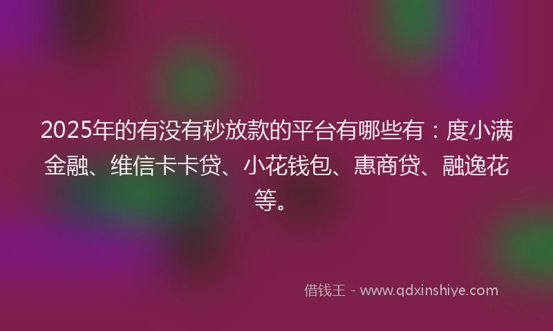 2025年的有没有秒放款的平台有哪些有：度小满金融、维信卡卡贷、小花钱包、惠商贷、融逸花等。