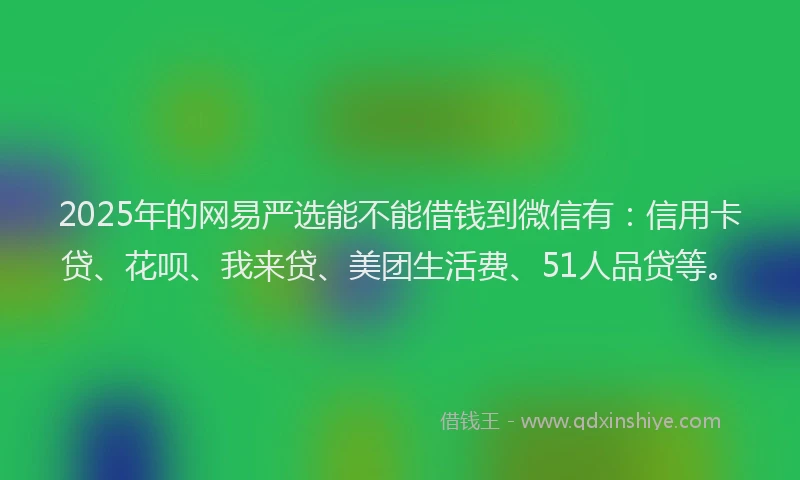 2025年的网易严选能不能借钱到微信有：信用卡贷、花呗、我来贷、美团生活费、51人品贷等。