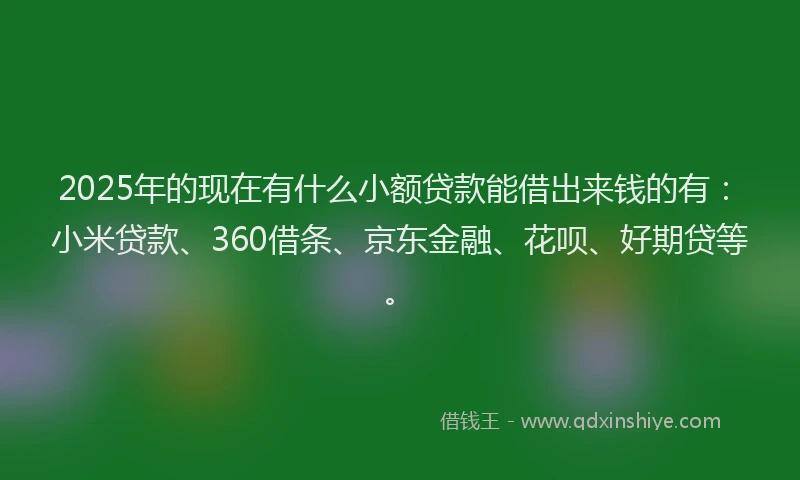 2025年的现在有什么小额贷款能借出来钱的有：小米贷款、360借条、京东金融、花呗、好期贷等。