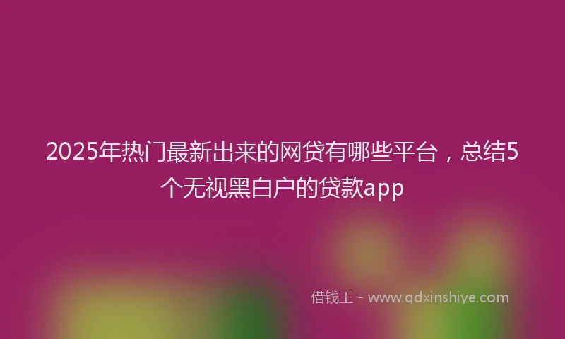 2025年热门最新出来的网贷有哪些平台，总结5个无视黑白户的贷款app