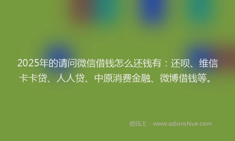 2025年的请问微信借钱怎么还钱有：还呗、维信卡卡贷、人人贷、中原消费金融、微博借钱等。