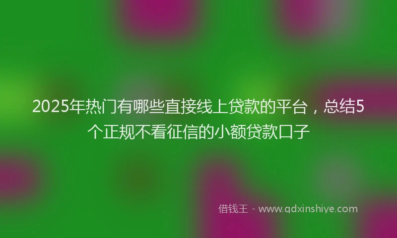 2025年热门有哪些直接线上贷款的平台，总结5个正规不看征信的小额贷款口子