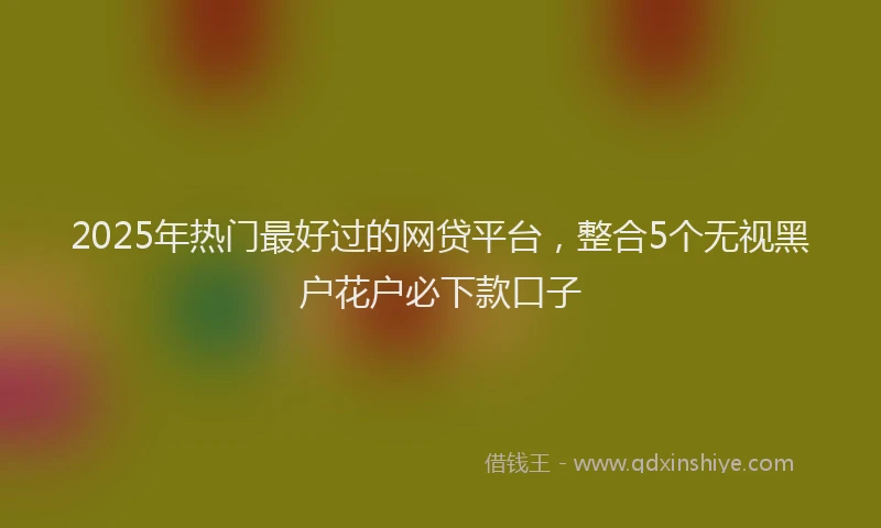 2025年热门最好过的网贷平台，整合5个无视黑户花户必下款口子