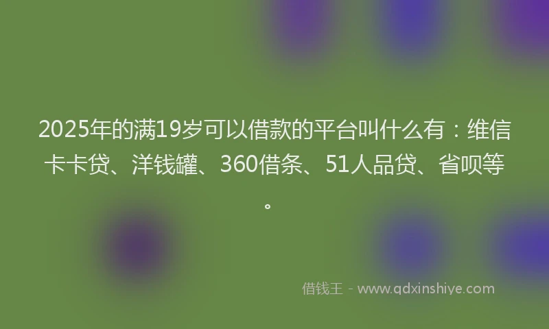 2025年的满19岁可以借款的平台叫什么有：维信卡卡贷、洋钱罐、360借条、51人品贷、省呗等。