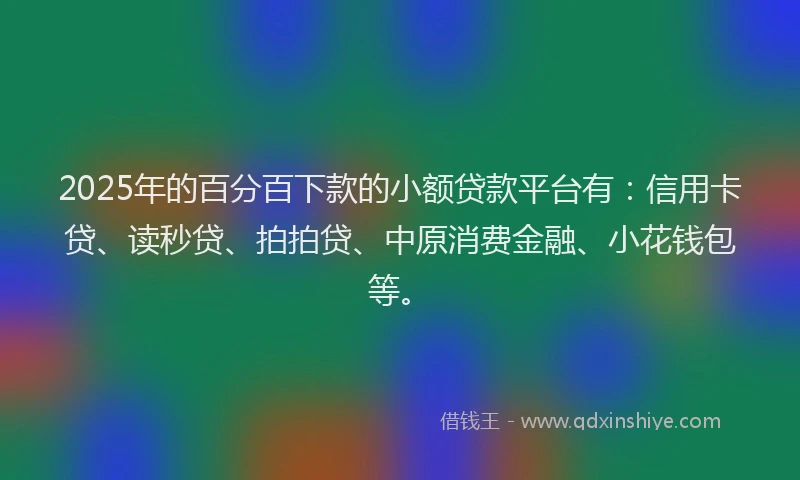 2025年的百分百下款的小额贷款平台有：信用卡贷、读秒贷、拍拍贷、中原消费金融、小花钱包等。