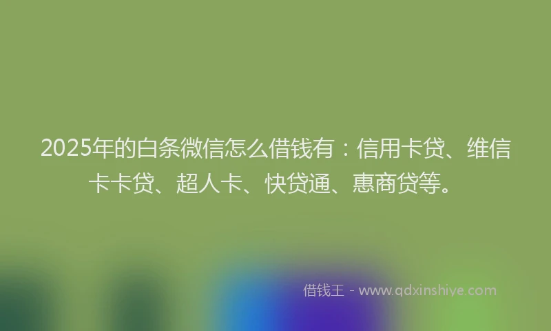 2025年的白条微信怎么借钱有：信用卡贷、维信卡卡贷、超人卡、快贷通、惠商贷等。