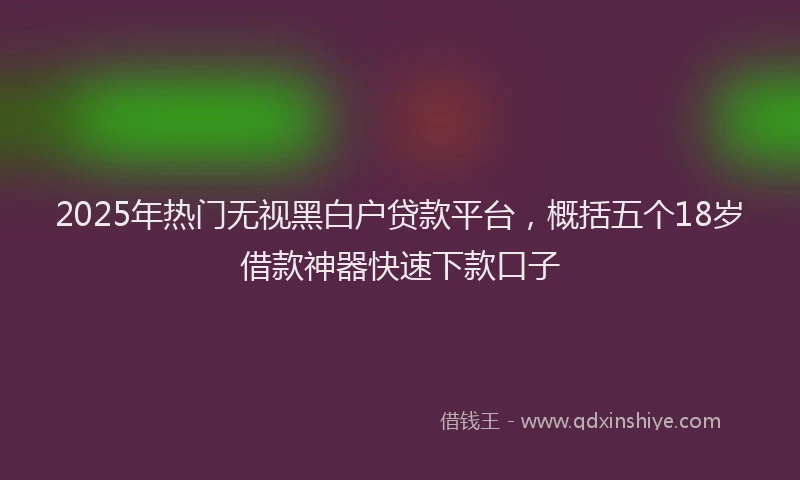 2025年热门无视黑白户贷款平台，概括五个18岁借款神器快速下款口子