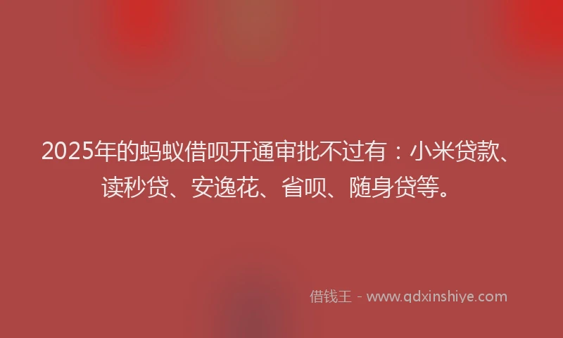 2025年的蚂蚁借呗开通审批不过有：小米贷款、读秒贷、安逸花、省呗、随身贷等。