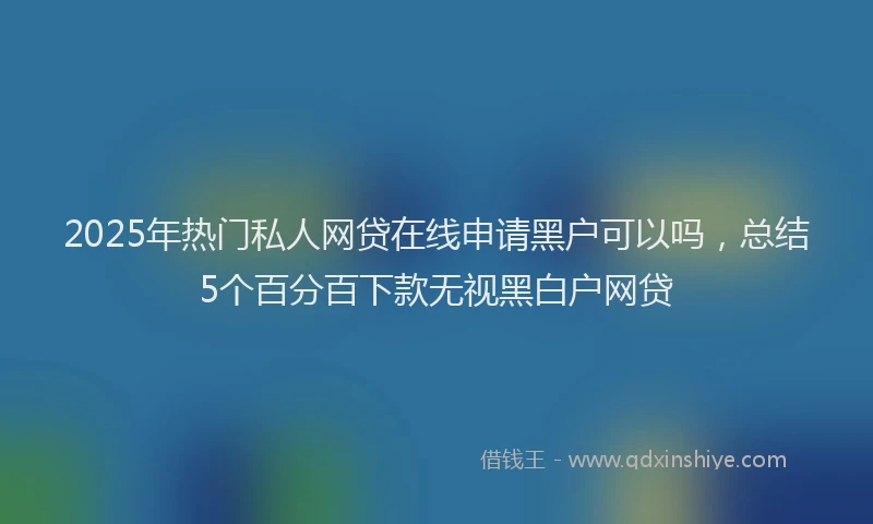 2025年热门私人网贷在线申请黑户可以吗，总结5个百分百下款无视黑白户网贷