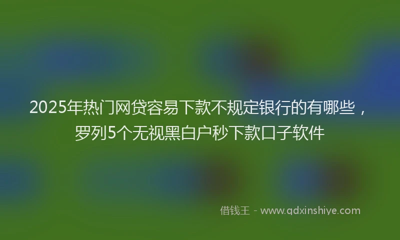 2025年热门网贷容易下款不规定银行的有哪些，罗列5个无视黑白户秒下款口子软件