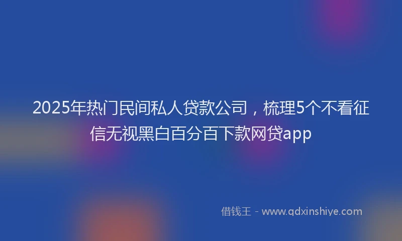 2025年热门民间私人贷款公司，梳理5个不看征信无视黑白百分百下款网贷app