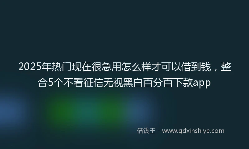 2025年热门现在很急用怎么样才可以借到钱，整合5个不看征信无视黑白百分百下款app