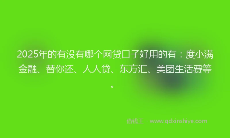 2025年的有没有哪个网贷口子好用的有：度小满金融、替你还、人人贷、东方汇、美团生活费等。