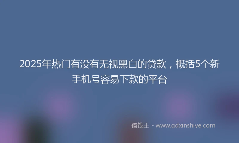 2025年热门有没有无视黑白的贷款，概括5个新手机号容易下款的平台