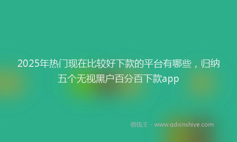 2025年热门现在比较好下款的平台有哪些，归纳五个无视黑户百分百下款app
