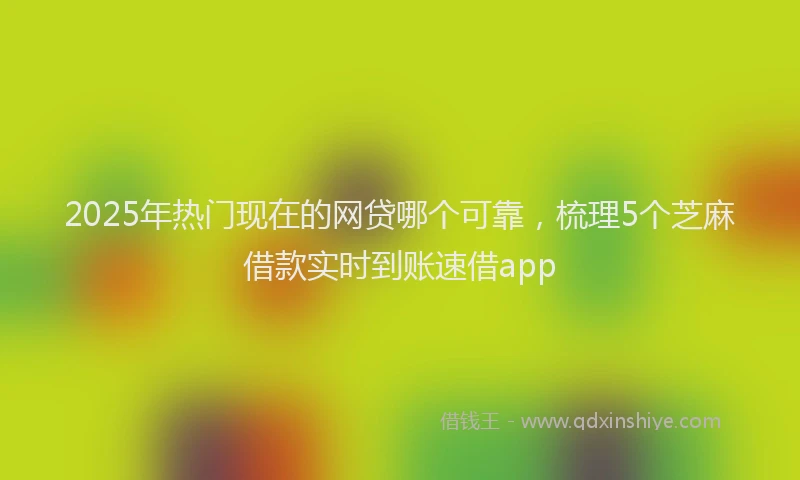 2025年热门现在的网贷哪个可靠，梳理5个芝麻借款实时到账速借app