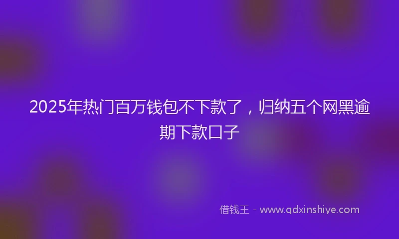 2025年热门百万钱包不下款了，归纳五个网黑逾期下款口子