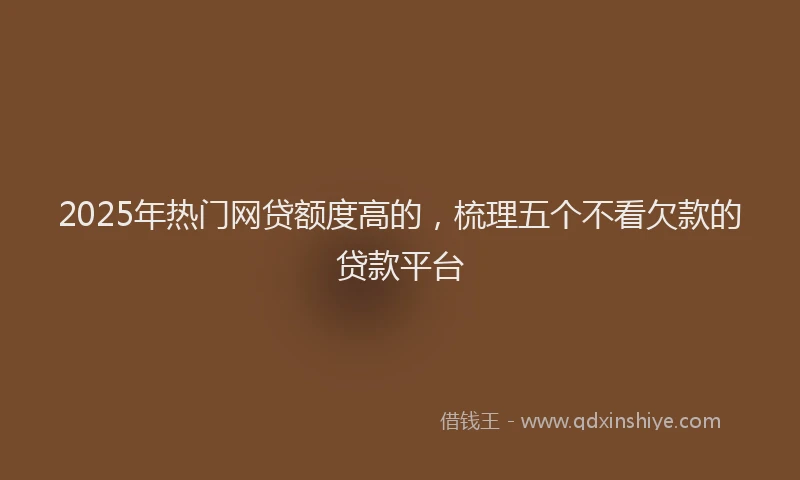 2025年热门网贷额度高的，梳理五个不看欠款的贷款平台