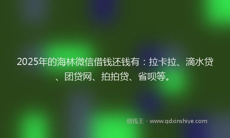 2025年的海林微信借钱还钱有：拉卡拉、滴水贷、团贷网、拍拍贷、省呗等。