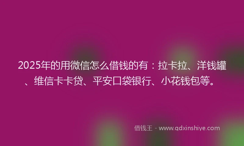 2025年的用微信怎么借钱的有：拉卡拉、洋钱罐、维信卡卡贷、平安口袋银行、小花钱包等。