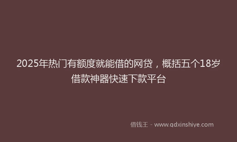 2025年热门有额度就能借的网贷，概括五个18岁借款神器快速下款平台