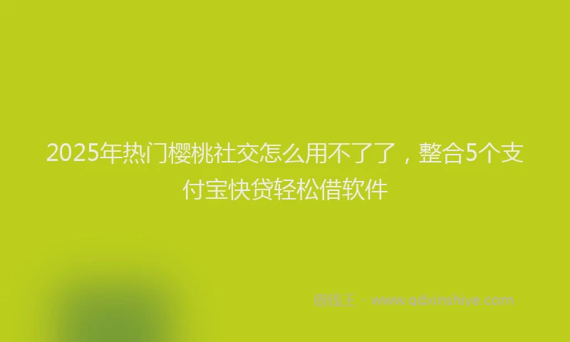 2025年热门樱桃社交怎么用不了了，整合5个支付宝快贷轻松借软件