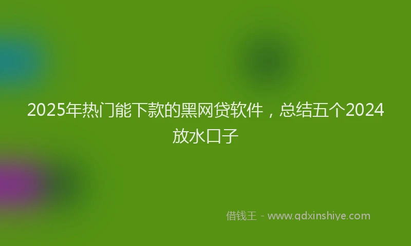 2025年热门能下款的黑网贷软件，总结五个2024放水口子