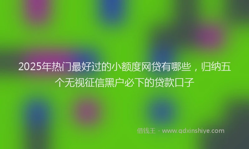 2025年热门最好过的小额度网贷有哪些，归纳五个无视征信黑户必下的贷款口子