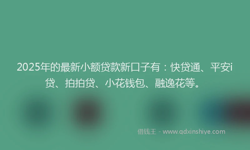 2025年的最新小额贷款新口子有：快贷通、平安i贷、拍拍贷、小花钱包、融逸花等。