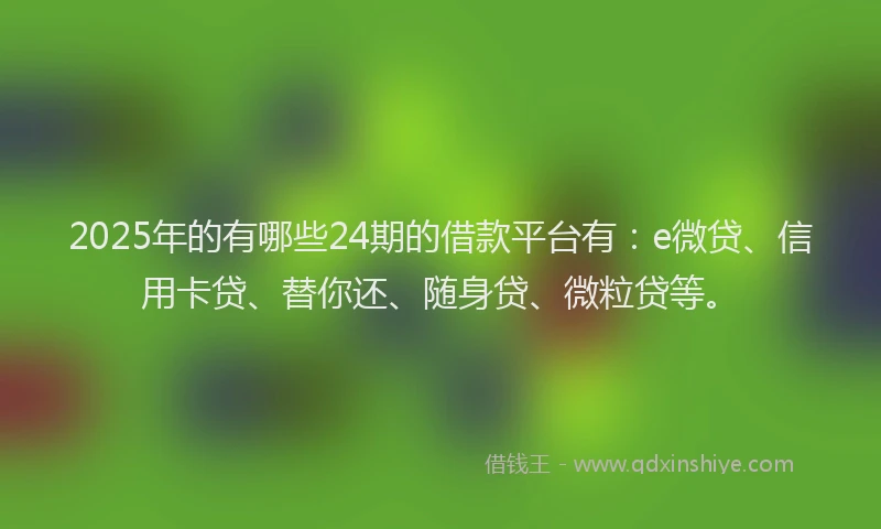 2025年的有哪些24期的借款平台有：e微贷、信用卡贷、替你还、随身贷、微粒贷等。