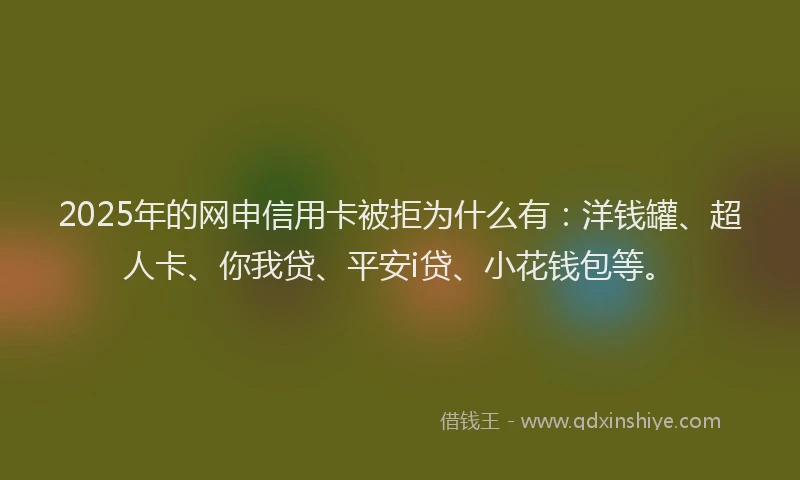 2025年的网申信用卡被拒为什么有：洋钱罐、超人卡、你我贷、平安i贷、小花钱包等。