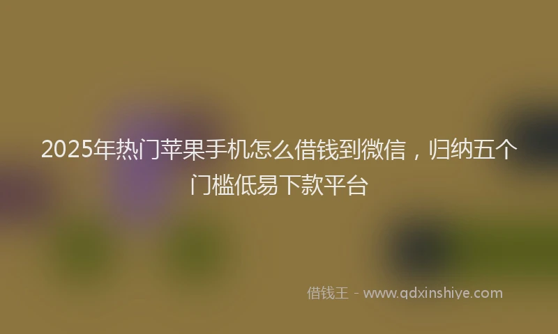 2025年热门苹果手机怎么借钱到微信，归纳五个门槛低易下款平台