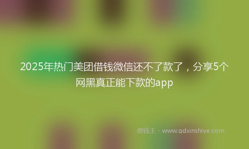 2025年热门美团借钱微信还不了款了，分享5个网黑真正能下款的app