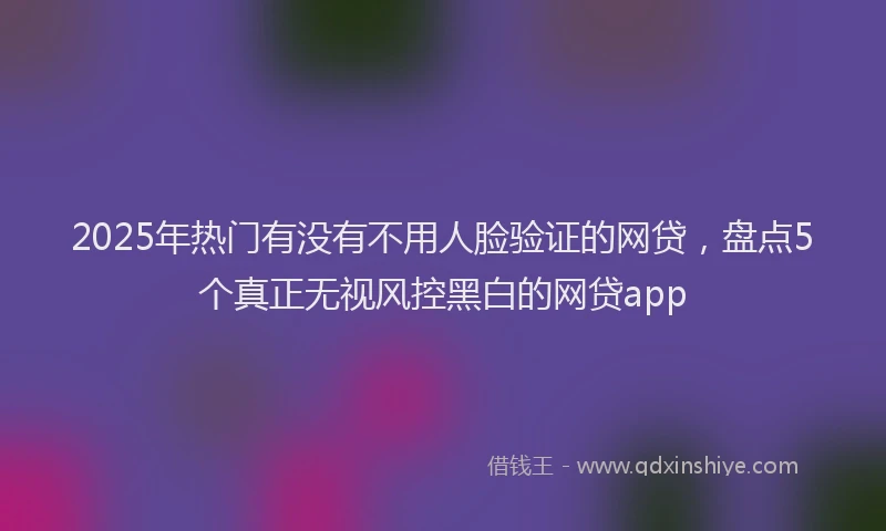 2025年热门有没有不用人脸验证的网贷，盘点5个真正无视风控黑白的网贷app