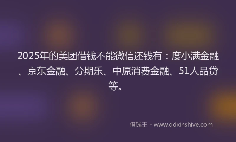 2025年的美团借钱不能微信还钱有：度小满金融、京东金融、分期乐、中原消费金融、51人品贷等。